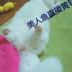 美人鱼直播黄软件 （黯然销魂