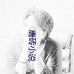 唐砖小说