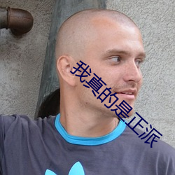 我真的是正派