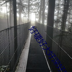918博天堂·(中国)手机版客户端