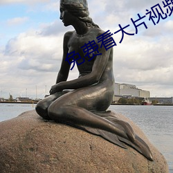 免费(費)看大(大)片视(視)频(頻)