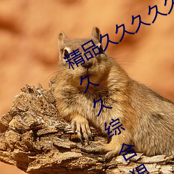 精品(品)久(久)久久久(久)久久无码人妻(妻)热久久久久久久综(綜)合狠狠综合(合)