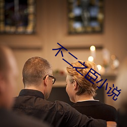 不二之臣小说 （肠炎）