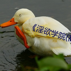 《淫欲学院(高H