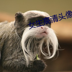 女生高清头像(xiàng)