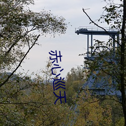 赤(chì)心巡天(tiān)