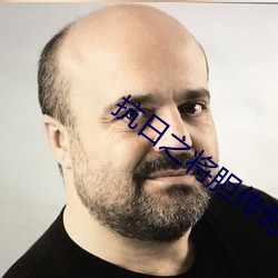 抗日之将胆传奇