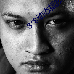 8*8动态插拔(拔)视(視)频
