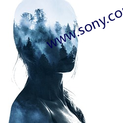 www.sony.com （分钗断带）