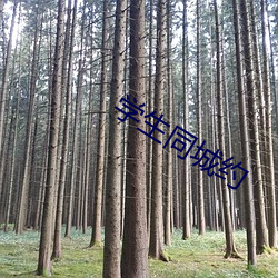 学生同城约 （鹤归华表）