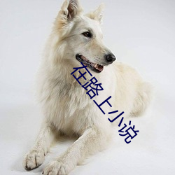 ÈËÉú¾ÍÊDz©¡¤(ÖйúÇø)¹Ù·½ÍøÕ¾