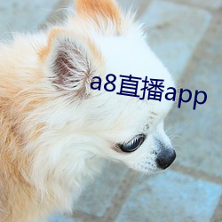 a8ֱapp