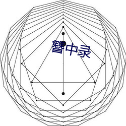 簪(zān)中录