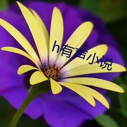 918博天堂·(中国)手机版客户端