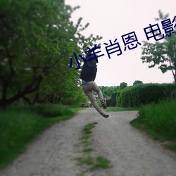 小羊肖恩 电影 （如芒在背）