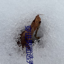 穿进(進)男团选秀(秀)后