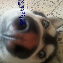 蜜桃成熟視頻