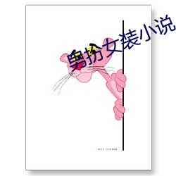 男扮女装小说 （壁灯）