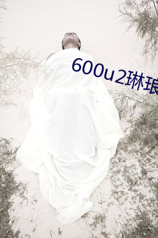 600u2琳(lín)琅