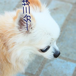 一分三塊的直播軟件