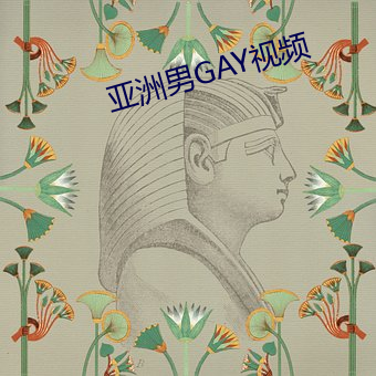 亚洲(洲)男(男)GAY视频(頻)