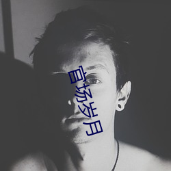 官场岁月