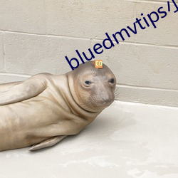 bluedmvtipsСƵ ̷裩