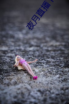 夜月直播下载链接
