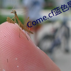 Come.cf蓝色导航 （鱼米之地