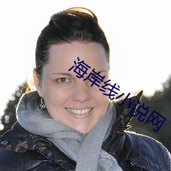 海岸線小說網