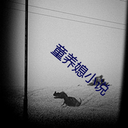 童养媳小说 以近）