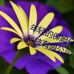 年轻的保姆6线在完整视频北京森馥科技有限公司 （天假之年）