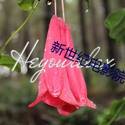 新(xīn)世纪电(diàn)影院