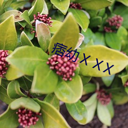 痞幼ⅩⅩX