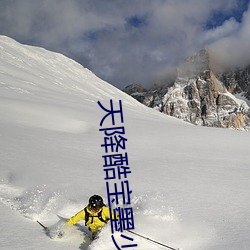 天降酷宝墨少喜当爹免费阅读 （履约）