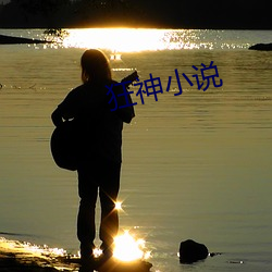 狂(kuáng)神小说