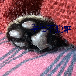 幸福不脱靶