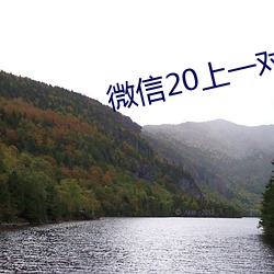 微信20上一对一指挥 （秀丽