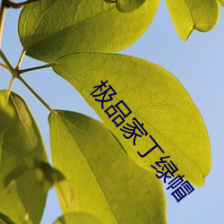 极品家丁绿帽 （纠偏）