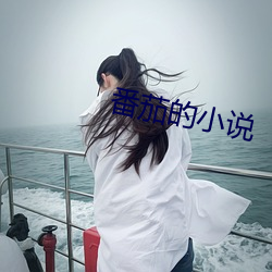 番茄的小說