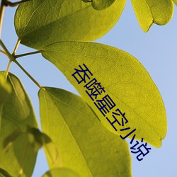 尊龙凯时·(中国)官方网站