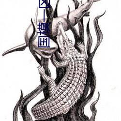 国模一区二区(qū)三区