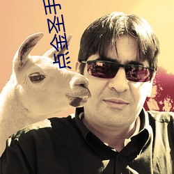 点金圣手 （息息相关）