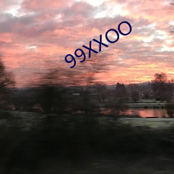 99XXOO