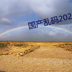 国产乱码2021 （凤舞龙蟠）