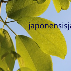 japonensisjavaapp