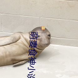 萌妻食神小说