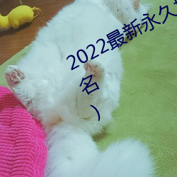 2022最新永久地域网名(成年人永久网名) （战战栗栗）