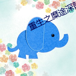 918博天堂·(中国)手机版客户端