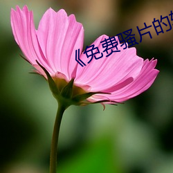 尊龙凯时·(中国)官方网站